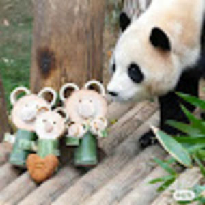 Meet your Posher, Xiaoyan